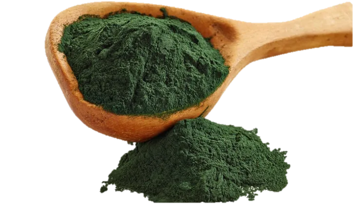 Bột tảo xoắn Spirulina màu xanh đậm trên thìa gỗ